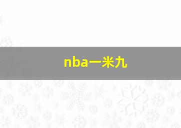 nba一米九