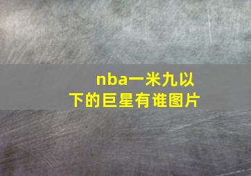 nba一米九以下的巨星有谁图片