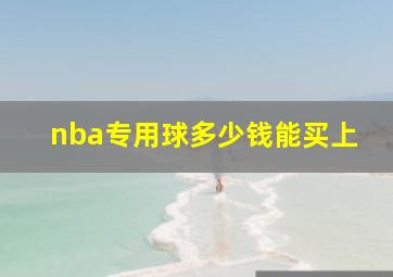 nba专用球多少钱能买上