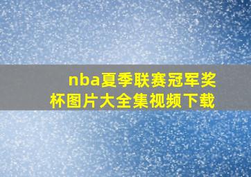 nba夏季联赛冠军奖杯图片大全集视频下载