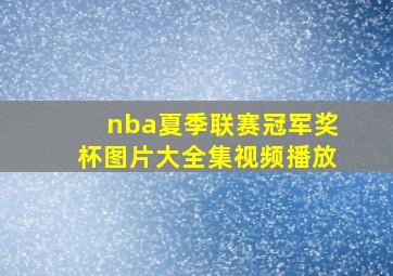 nba夏季联赛冠军奖杯图片大全集视频播放