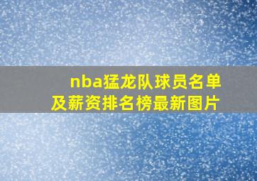 nba猛龙队球员名单及薪资排名榜最新图片