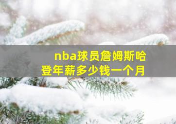 nba球员詹姆斯哈登年薪多少钱一个月