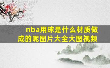 nba用球是什么材质做成的呢图片大全大图视频