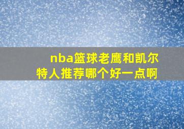 nba篮球老鹰和凯尔特人推荐哪个好一点啊