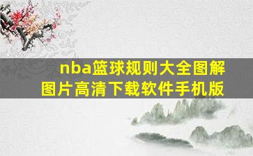 nba篮球规则大全图解图片高清下载软件手机版