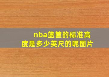 nba篮筐的标准高度是多少英尺的呢图片