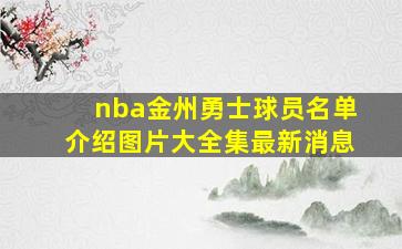 nba金州勇士球员名单介绍图片大全集最新消息