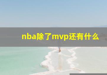 nba除了mvp还有什么