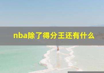 nba除了得分王还有什么