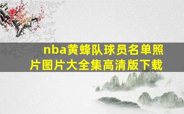 nba黄蜂队球员名单照片图片大全集高清版下载