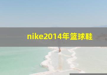 nike2014年篮球鞋