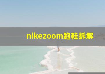 nikezoom跑鞋拆解