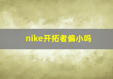 nike开拓者偏小吗