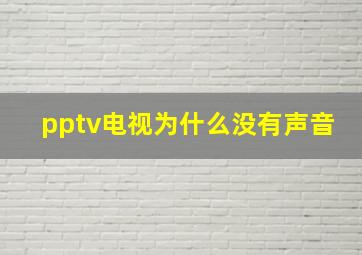 pptv电视为什么没有声音