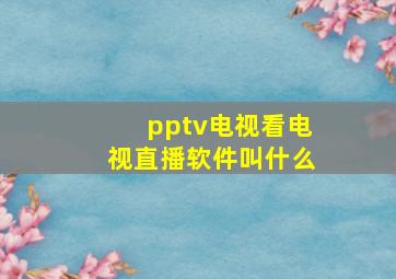 pptv电视看电视直播软件叫什么