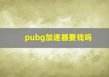 pubg加速器要钱吗