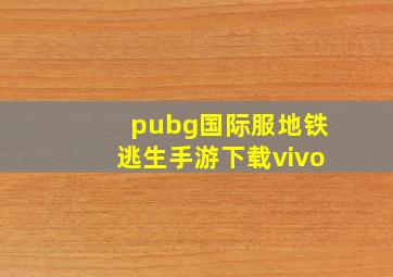 pubg国际服地铁逃生手游下载vivo