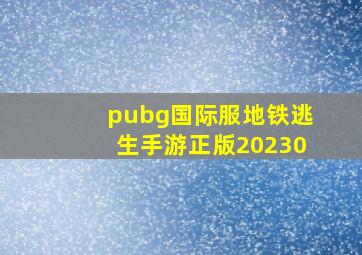 pubg国际服地铁逃生手游正版20230