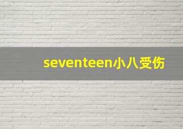 seventeen小八受伤