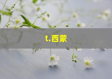 t.西蒙