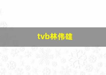 tvb林伟雄