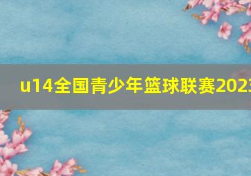 u14全国青少年篮球联赛2023