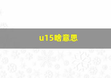 u15啥意思