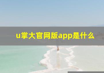 u掌大官网版app是什么