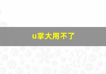 u掌大用不了