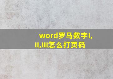 word罗马数字I,II,III怎么打页码