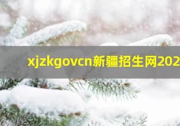 xjzkgovcn新疆招生网2023