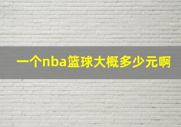 一个nba篮球大概多少元啊