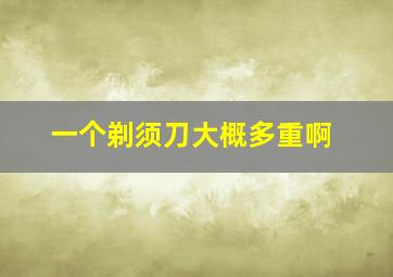 一个剃须刀大概多重啊