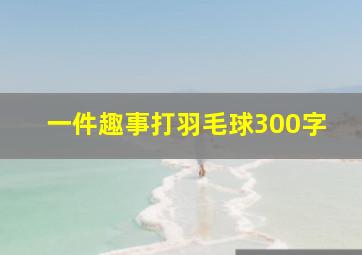 一件趣事打羽毛球300字