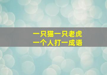 一只猫一只老虎一个人打一成语