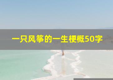 一只风筝的一生梗概50字