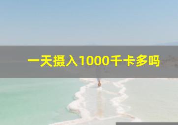 一天摄入1000千卡多吗