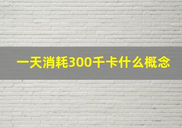 一天消耗300千卡什么概念