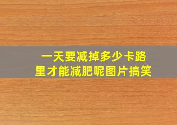 一天要减掉多少卡路里才能减肥呢图片搞笑