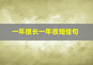 一年很长一年很短佳句