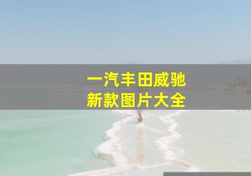 一汽丰田威驰新款图片大全