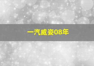 一汽威姿08年