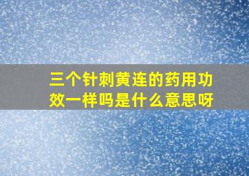 三个针刺黄连的药用功效一样吗是什么意思呀