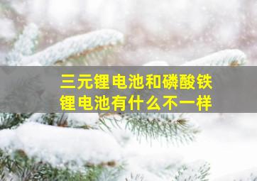 三元锂电池和磷酸铁锂电池有什么不一样