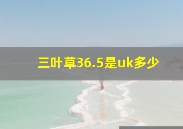 三叶草36.5是uk多少