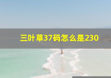 三叶草37码怎么是230