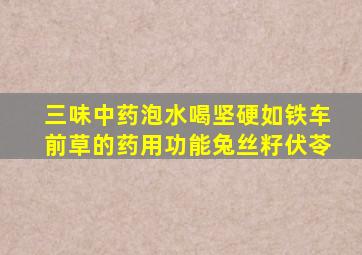 三味中药泡水喝坚硬如铁车前草的药用功能兔丝籽伏苓