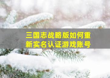 三国志战略版如何重新实名认证游戏账号