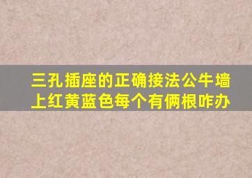 三孔插座的正确接法公牛墙上红黄蓝色每个有俩根咋办